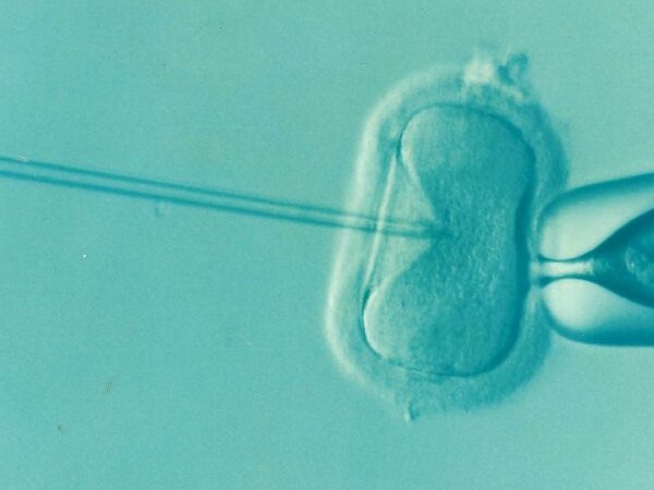 From Conception to Delivery: Harnessing the Magic of Cutting-Edge IVF Technology for Safe and Effective Care