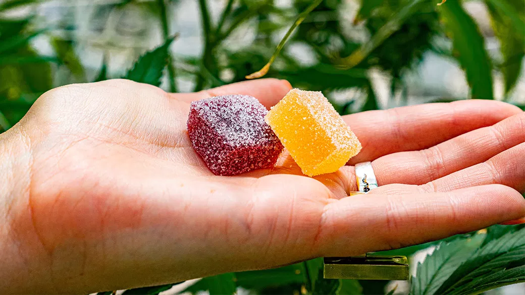 The Intricate Ballet of CBD Gummies in Brain Sleep Mechanics