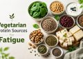 12 Best Vegetarian Protein Sources to Fight Fatigue and Boost Energy Naturally