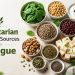 12 Best Vegetarian Protein Sources to Fight Fatigue and Boost Energy Naturally